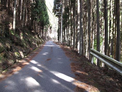 20140105hike (236)